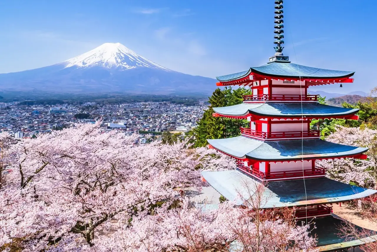 満開の桜と五重塔、雪をかぶった富士山