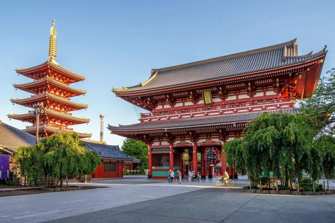 柳の緑に囲まれた浅草寺の五重塔と本堂